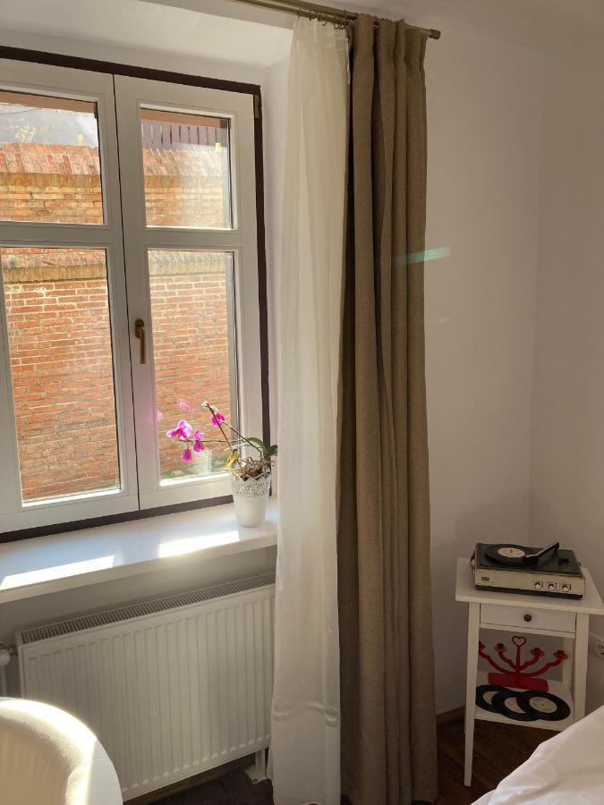 Brick Villa Сибиу Экстерьер фото